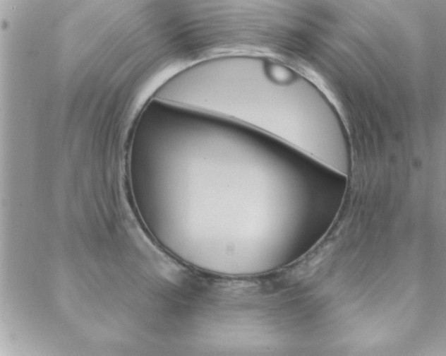 X0000089441187200706151003