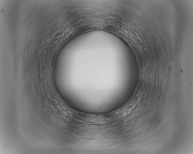 X0000089441201200706151002