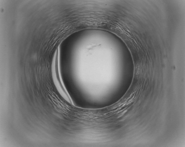 X0000089441202200706151002