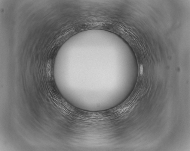 X0000089441203200706151002