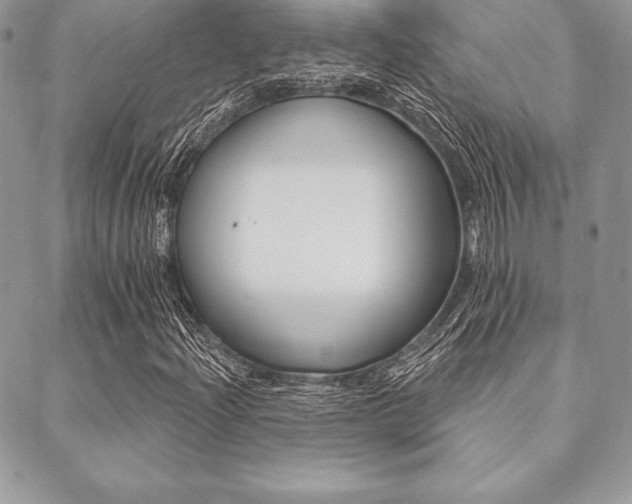 X0000089441204200706151002