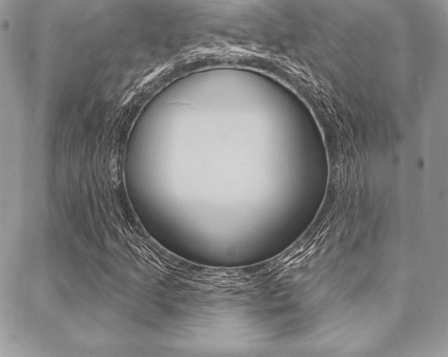 X0000089441205200706151003