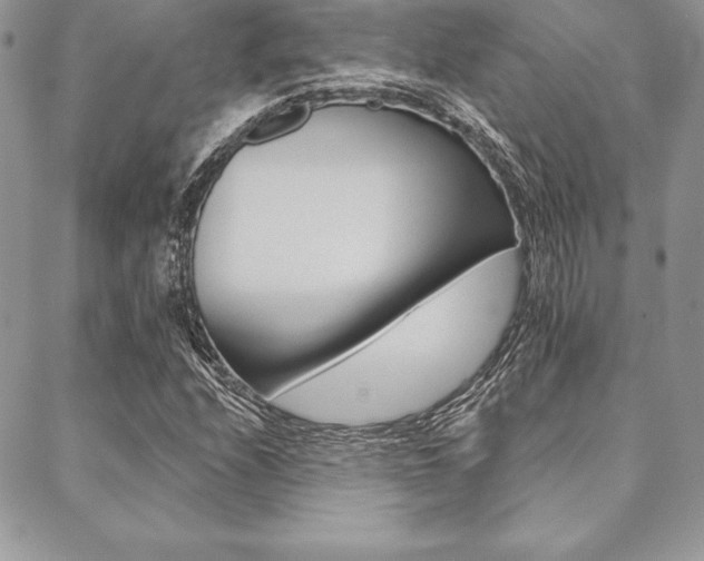 X0000089441208200706151003