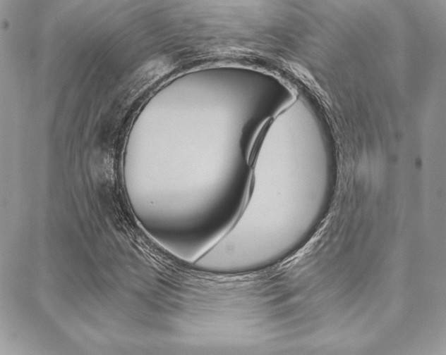 X0000089441209200706151003