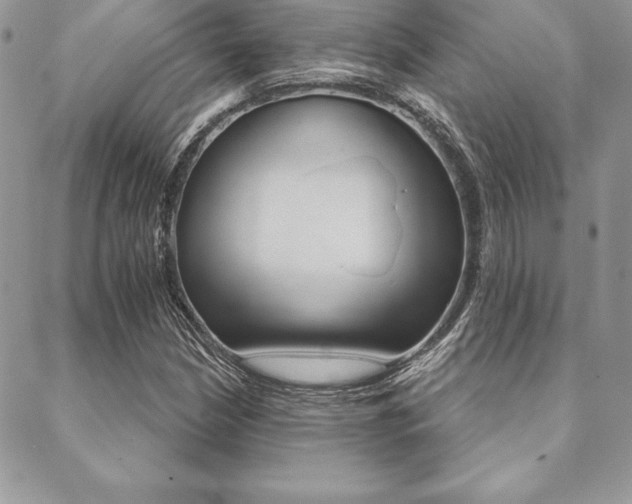 X0000089441210200706151003