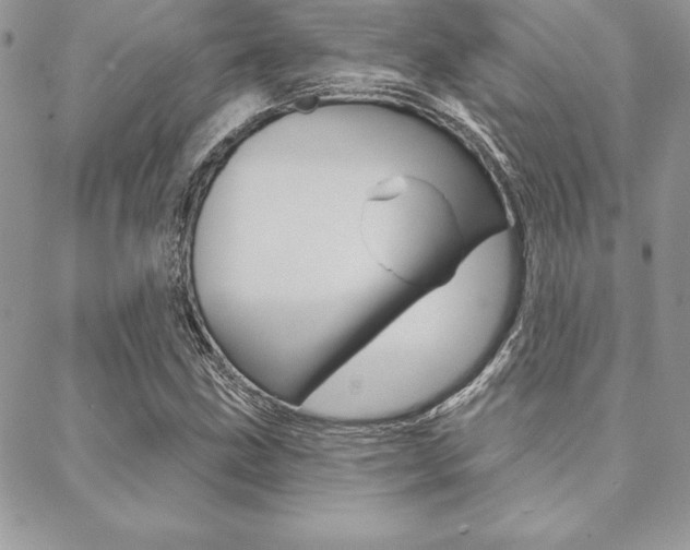X0000089441211200706151003