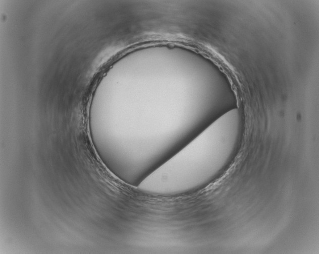 X0000089441215200706151003