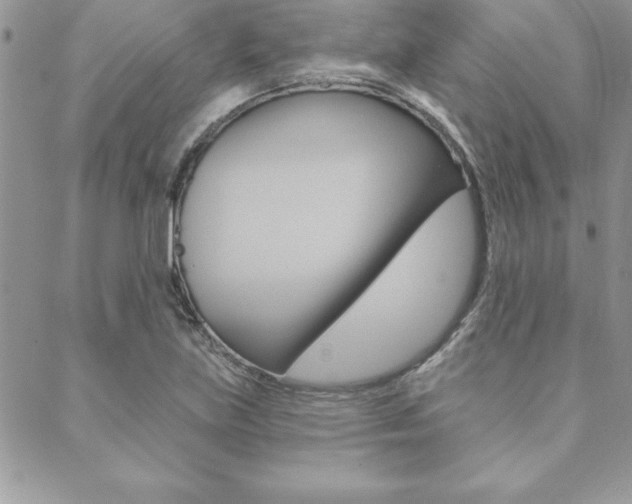 X0000089441219200706151003