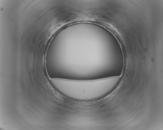 X0000089441220200706151003