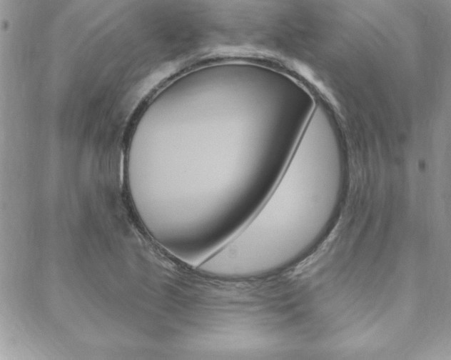 X0000089441221200706151003