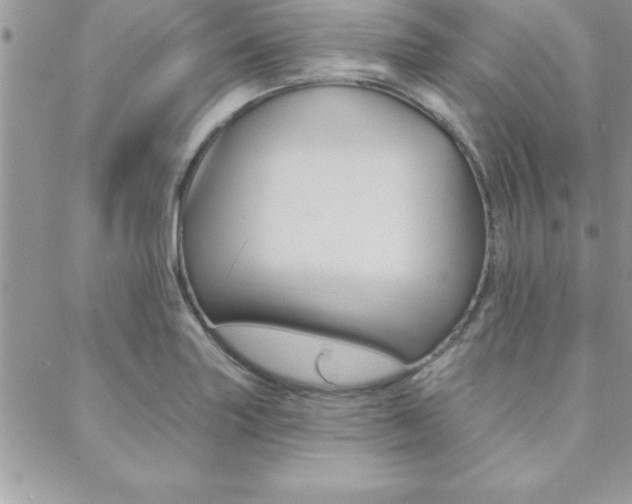 X0000089441227200706151003