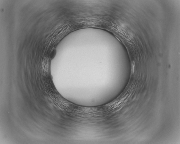 X0000089441251200706151002
