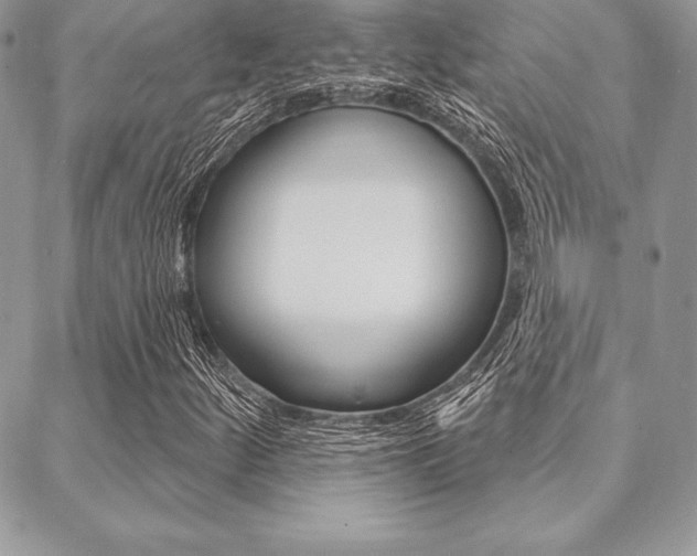 X0000089441252200706151002