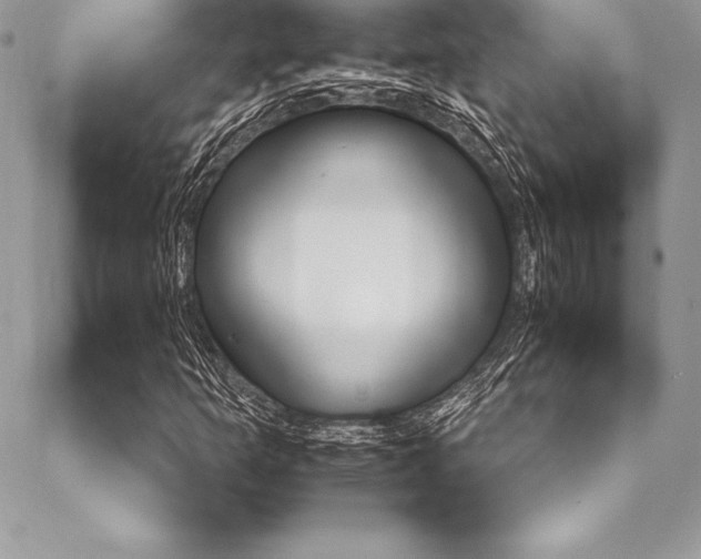 X0000089441253200706151002