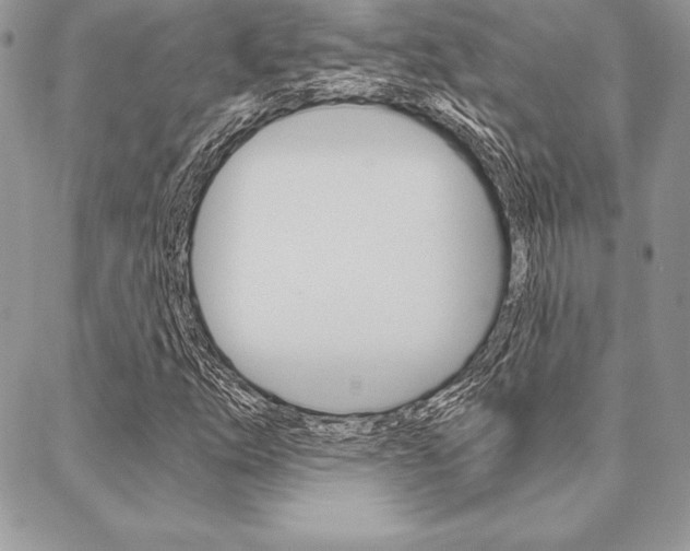 X0000089441254200706151002