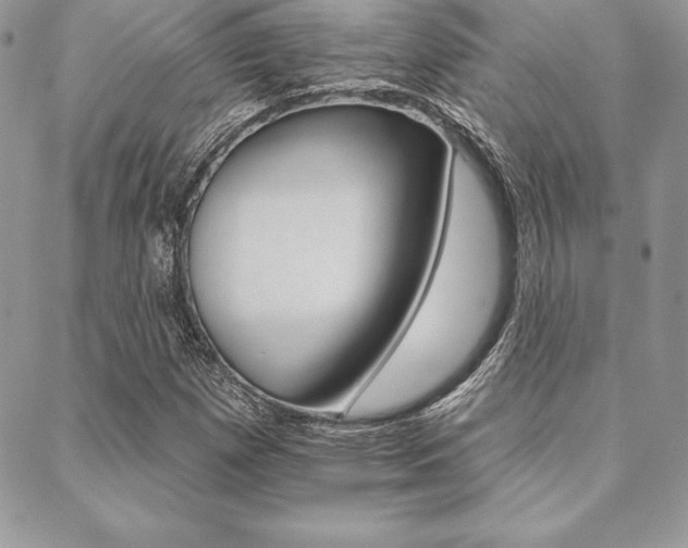 X0000089441257200706151002