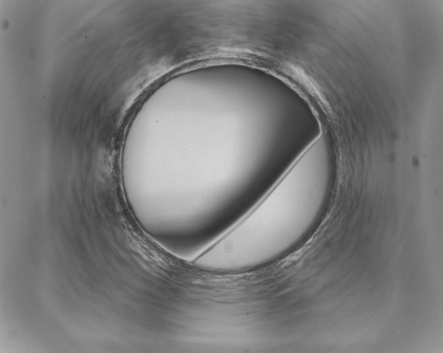 X0000089441260200706151002