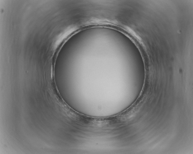 X0000089441269200706151002