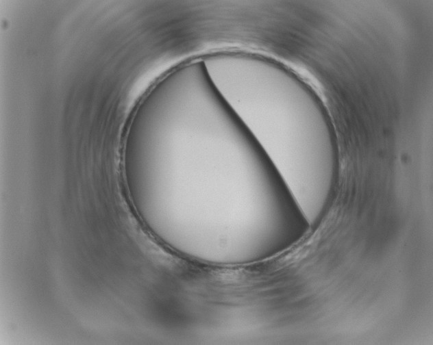 X0000089441279200706151002