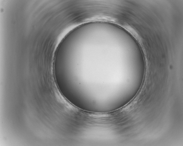 X0000089441296200706151002