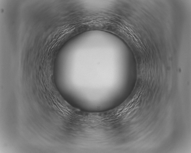 X0000089441297200706151001