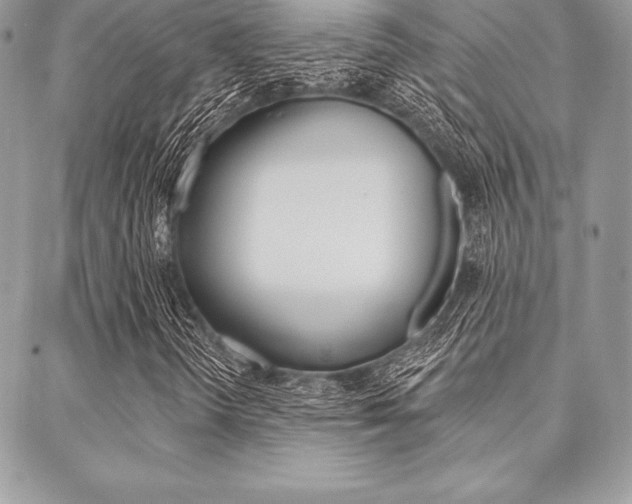 X0000089441298200706151001