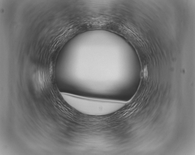 X0000089441299200706151001