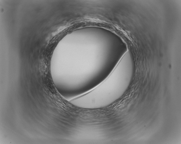X0000089441303200706151001