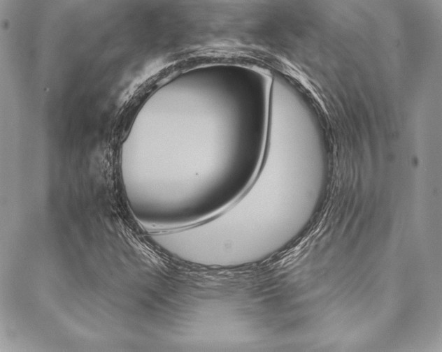 X0000089441304200706151001
