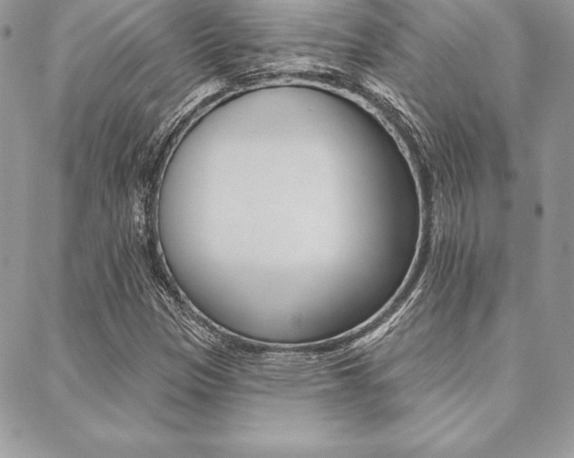 X0000089441305200706151001