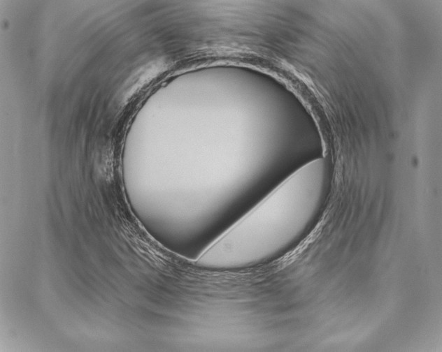 X0000089441306200706151001