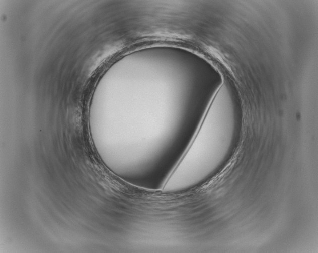 X0000089441307200706151001