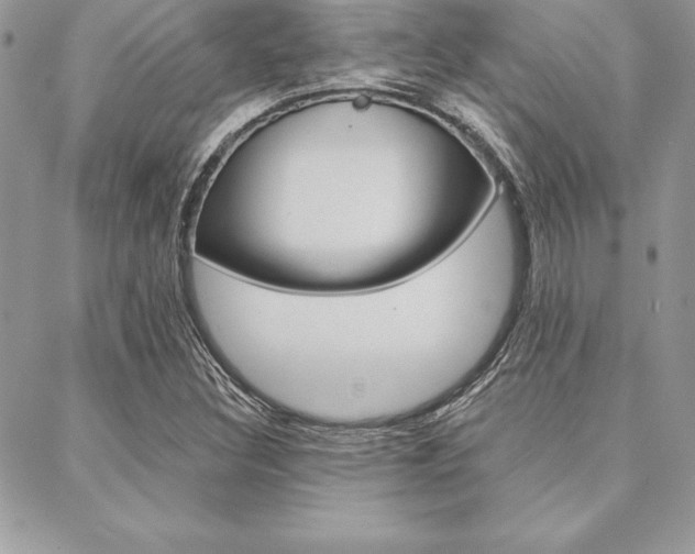 X0000089441308200706151001