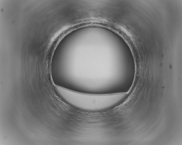 X0000089441310200706151001