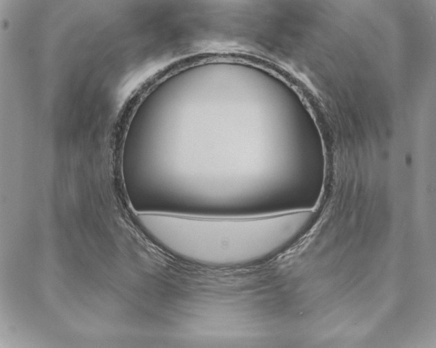X0000089441311200706151001