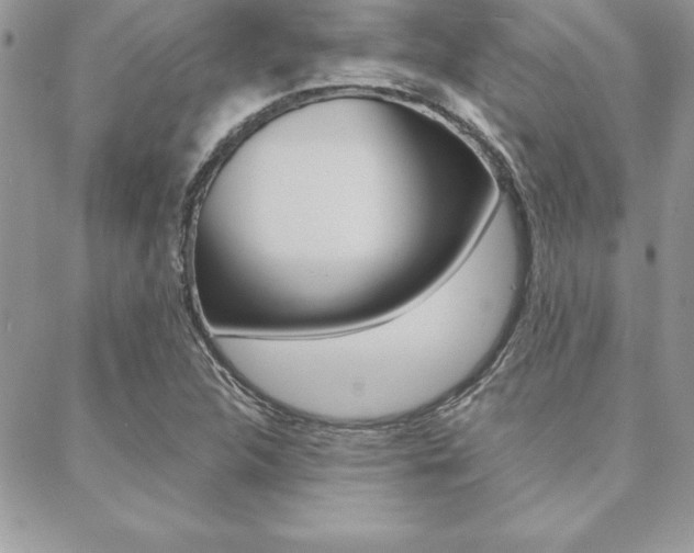 X0000089441312200706151001