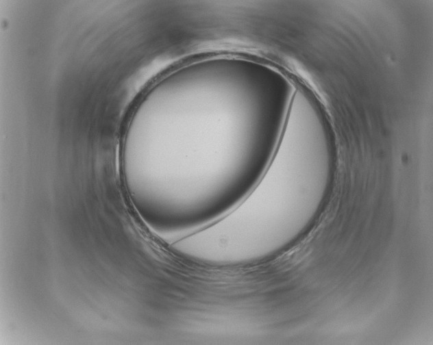 X0000089441320200706151001