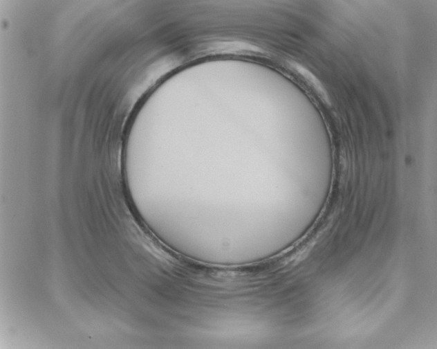 X0000089441322200706151001