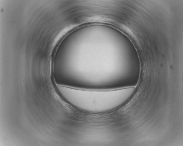 X0000089441323200706151001