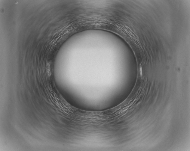 X0000089441347200706151001