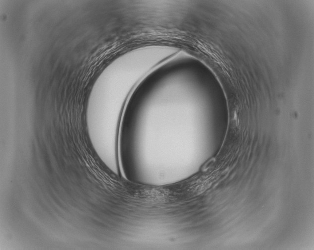 X0000089441348200706151001