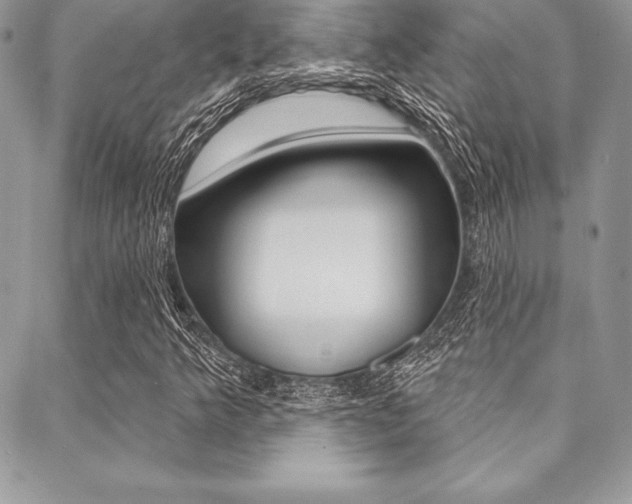X0000089441349200706151001