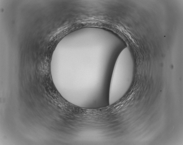 X0000089441350200706151001