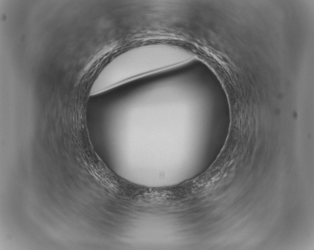 X0000089441351200706151001