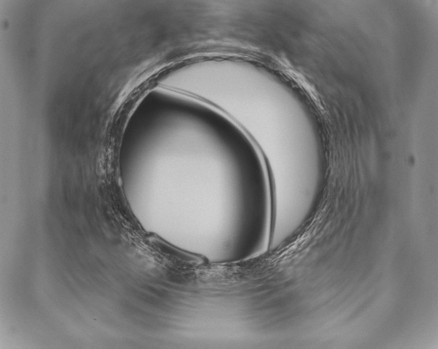 X0000089441352200706151001