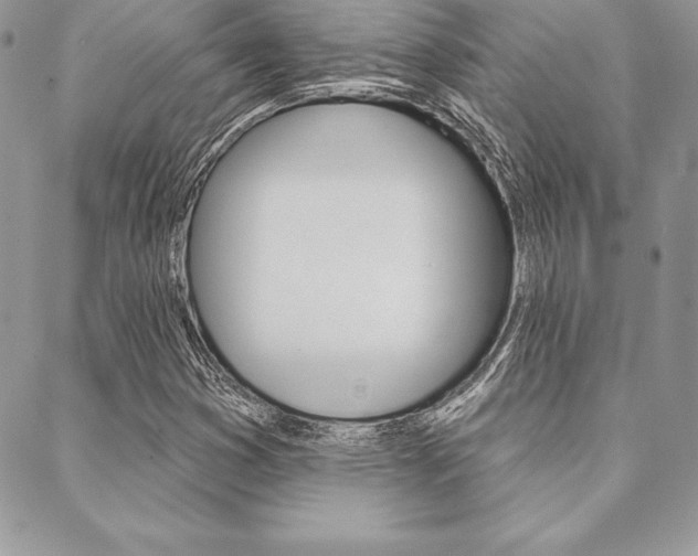 X0000089441353200706151001