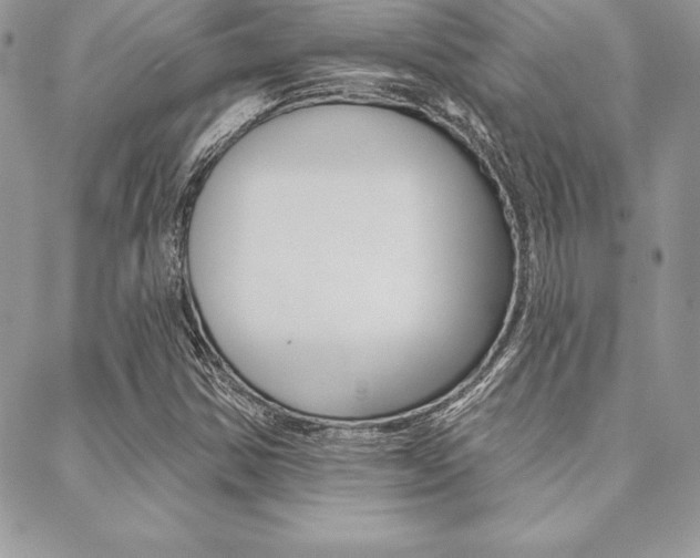 X0000089441354200706151001