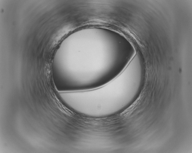 X0000089441355200706151001