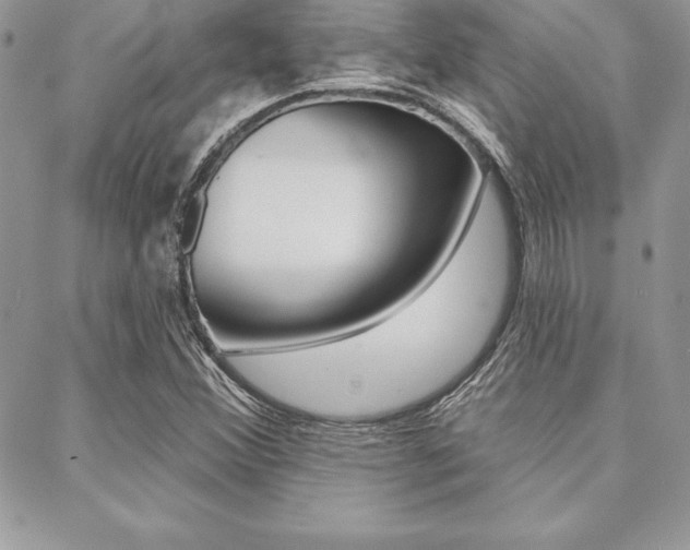 X0000089441356200706151001