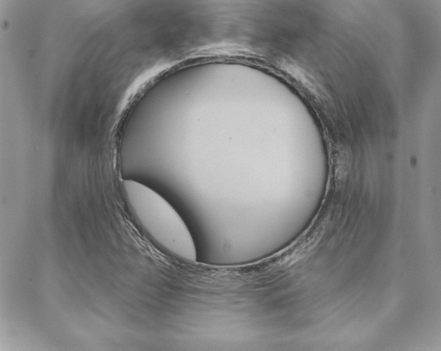 X0000089441358200706151001